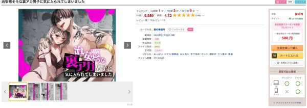 治安悪そうな裏アカ男子に気に入られてしまいました DLサイト