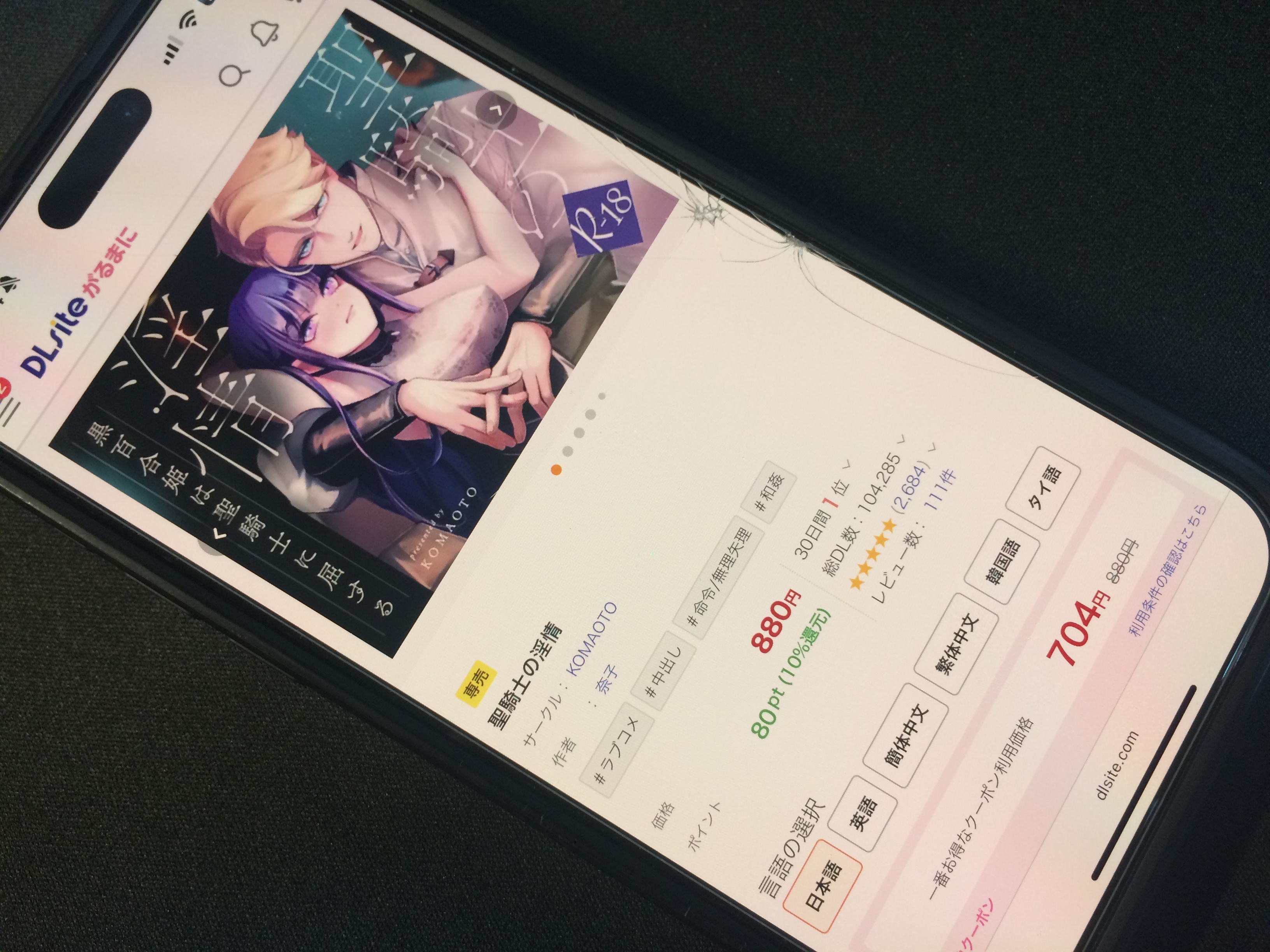 聖騎士の淫情 DLsite