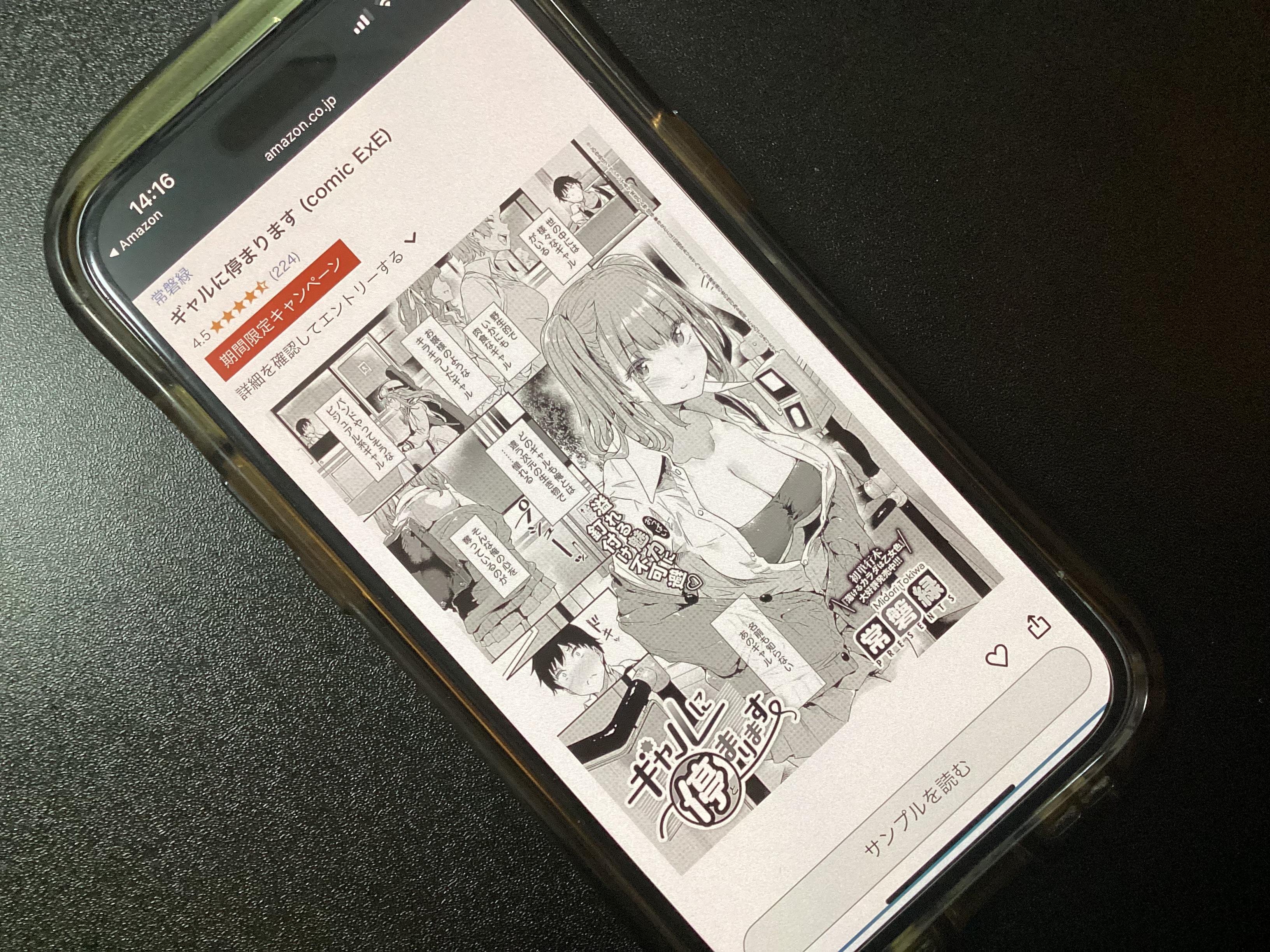 ギャルに停まります kindle