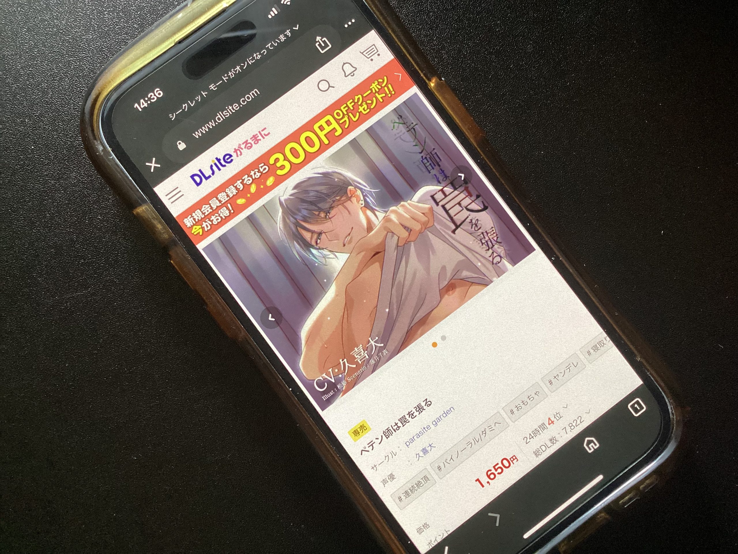 ペテン師は罠を張る DLsite