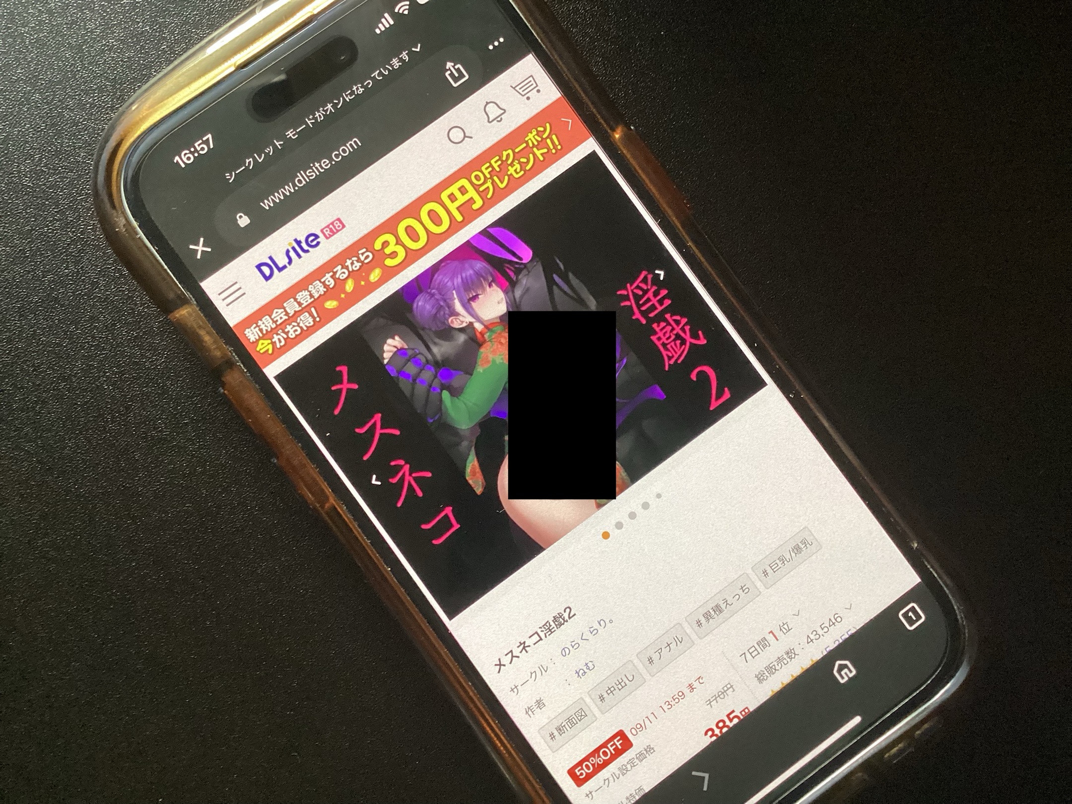 メスネコ淫戯2 DLsite