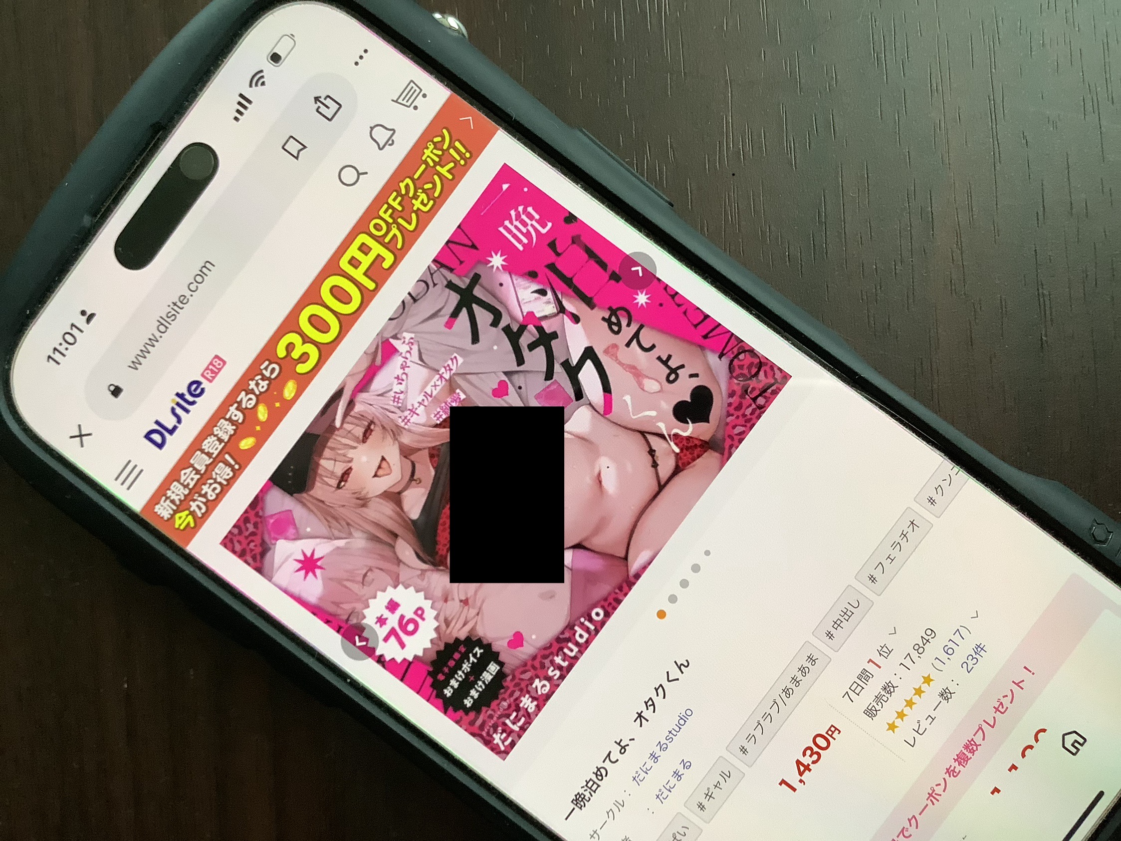 一晩泊めてよ、オタクくん DLsite