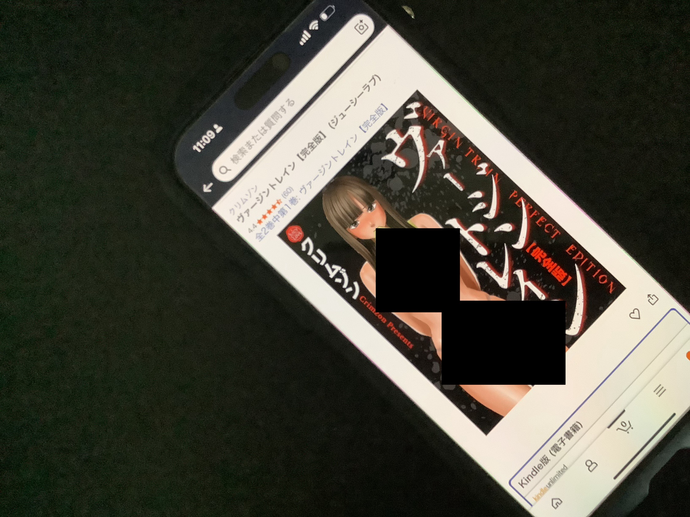 ヴァージントレイン kindle