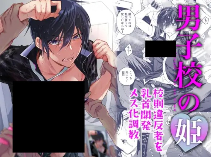 男子校の姫 校則違反者を乳首開発メス化調教 DLsite