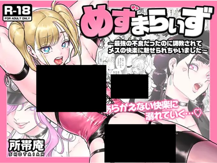 めずまらいず DLsite