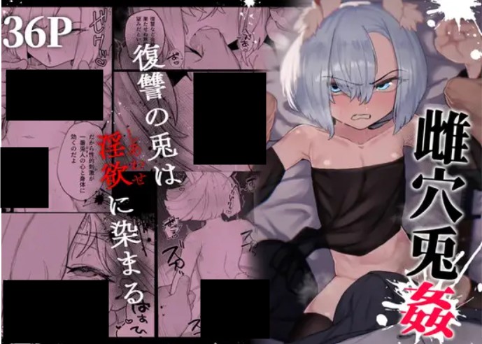 雌穴兎姦 DLsite